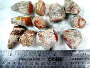 rough_coral-redhorn-02_0004.JPG