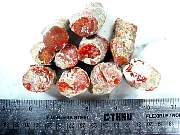 rough_coral-redhorn-03_0001.JPG