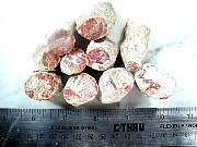 rough_coral-redhorn-03_0002.JPG