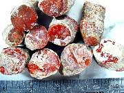 rough_coral-redhorn-03_0003.JPG