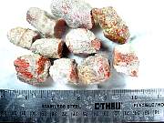 rough_coral-redhorn-03_0004.JPG