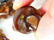 rough_agate-fire-01_0004.JPG