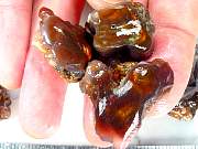 rough_agate-fire-01_0005.JPG