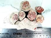 rough_coral-redhorn-01_0004.JPG
