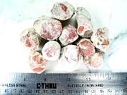 rough_coral-redhorn-02_0000.JPG