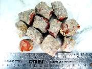 rough_coral-redhorn-02_0003.JPG