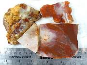 rough_agate-carey-01_0002.JPG