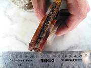 rough_agate-carey-01_0004.JPG