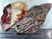 rough_agate-crazylace-01_0001.JPG