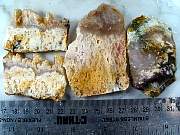 rough_agate-feather-01_0001.JPG