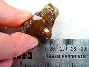 rough_agate-fire-01_0003.JPG