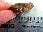rough_agate-fire-01_0004.JPG