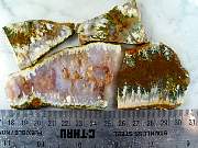 rough_agate-linda-01_0001.JPG