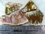 rough_agate-linda-01_0002.JPG
