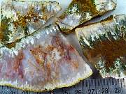 rough_agate-linda-01_0003.JPG