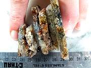 rough_agate-marfa-01_0004.JPG
