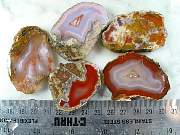 rough_agate-mex-01_0001.JPG