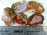 rough_agate-mex-01_0002.JPG