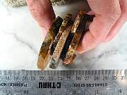 rough_agate-mex-01_0003.JPG