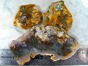 rough_agate-nrplume-01_0002.JPG