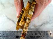 rough_agate-nrplume-01_0004.JPG