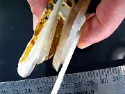 rough_agate-ochoco-01_0003.JPG