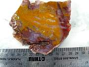 rough_agate-paradise-01_0001.JPG