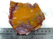 rough_agate-paradise-01_0002.JPG