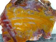 rough_agate-paradise-01_0003.JPG
