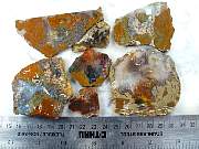 rough_agate-priday-01_0001.JPG