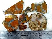 rough_agate-priday-01_0002.JPG