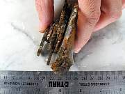 rough_agate-priday-01_0003.JPG