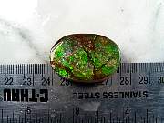 rough_ammolite-01_0002.JPG
