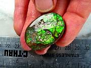 rough_ammolite-01_0003.JPG