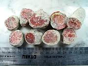 rough_coral-redhorn-01_0002.JPG