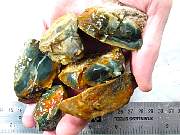 rough_jasper-morrisonite-01_0003.JPG