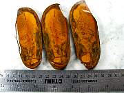 rough_jasper-sahara-01_0001.JPG