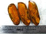 rough_jasper-sahara-01_0002.JPG