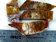 rough_maramamba-01_0005.JPG