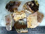 rough_agate-featherlinda-01_0001.JPG