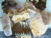 rough_agate-featherlinda-01_0002.JPG