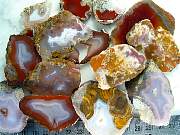 rough_agate-mex-01_0002.JPG