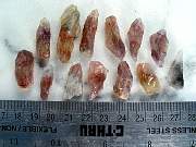 rough_cacoxenite-babywands-01_0002.JPG