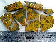 rough_jasper-poppy-01_0001.JPG
