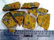 rough_jasper-poppy-01_0002.JPG