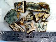rough_jasper-tahoma-01_0002.JPG