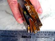 rough_tigereye-01_0003.JPG
