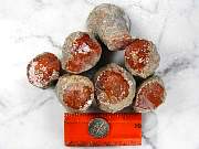 rough_coral-redhorn-01_0001.jpg