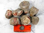 rough_coral-redhorn-01_0003.jpg