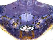 rough_opalfluorite-01_0003.jpg